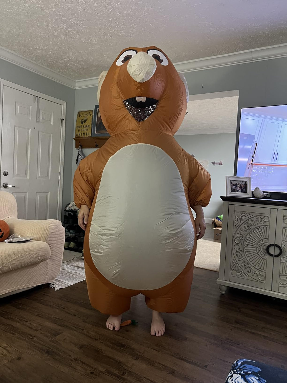 PuffRats costume lifestyle